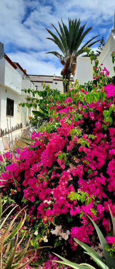 Casa Bonita Apartment Costa Del Silencio Exterior photo